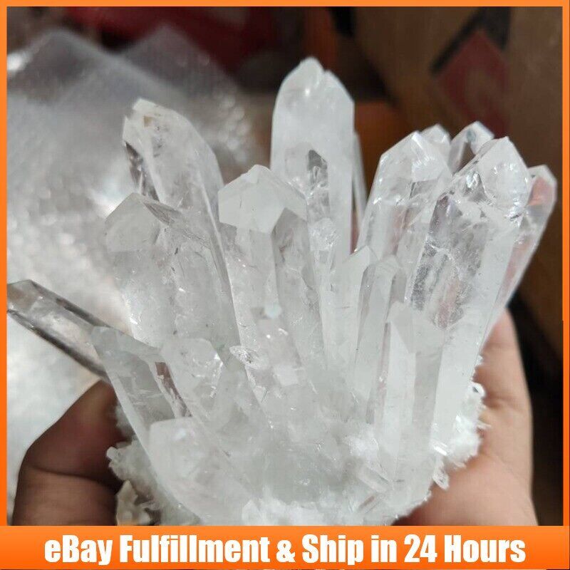 150g Large Natural Clear Quartz Crystal Cluster Stone Druzy Geode Specimen Reiki