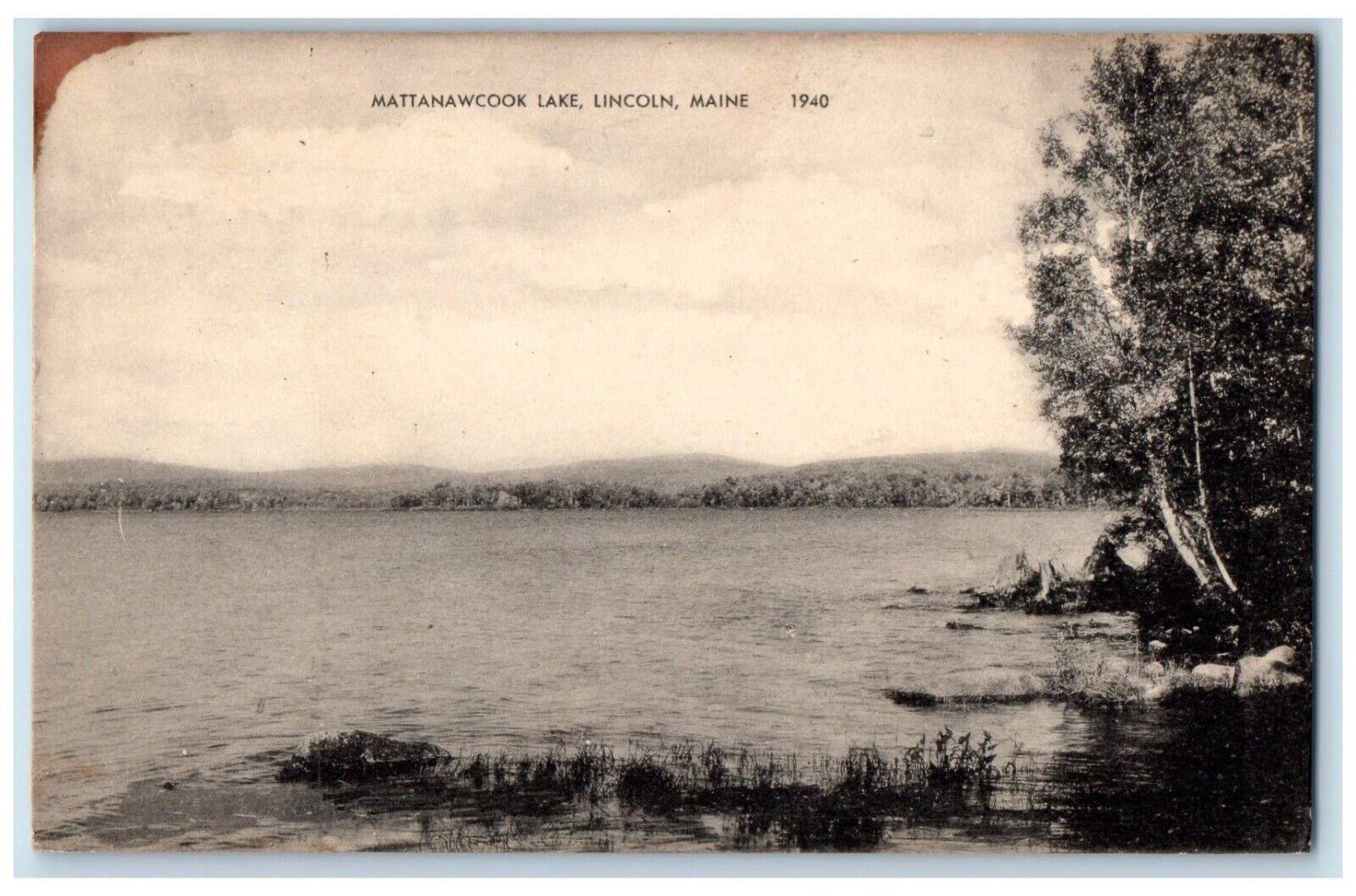c1910\'s A View Of Mattanawcook Lake Lincoln Maine ME Antique Postcard