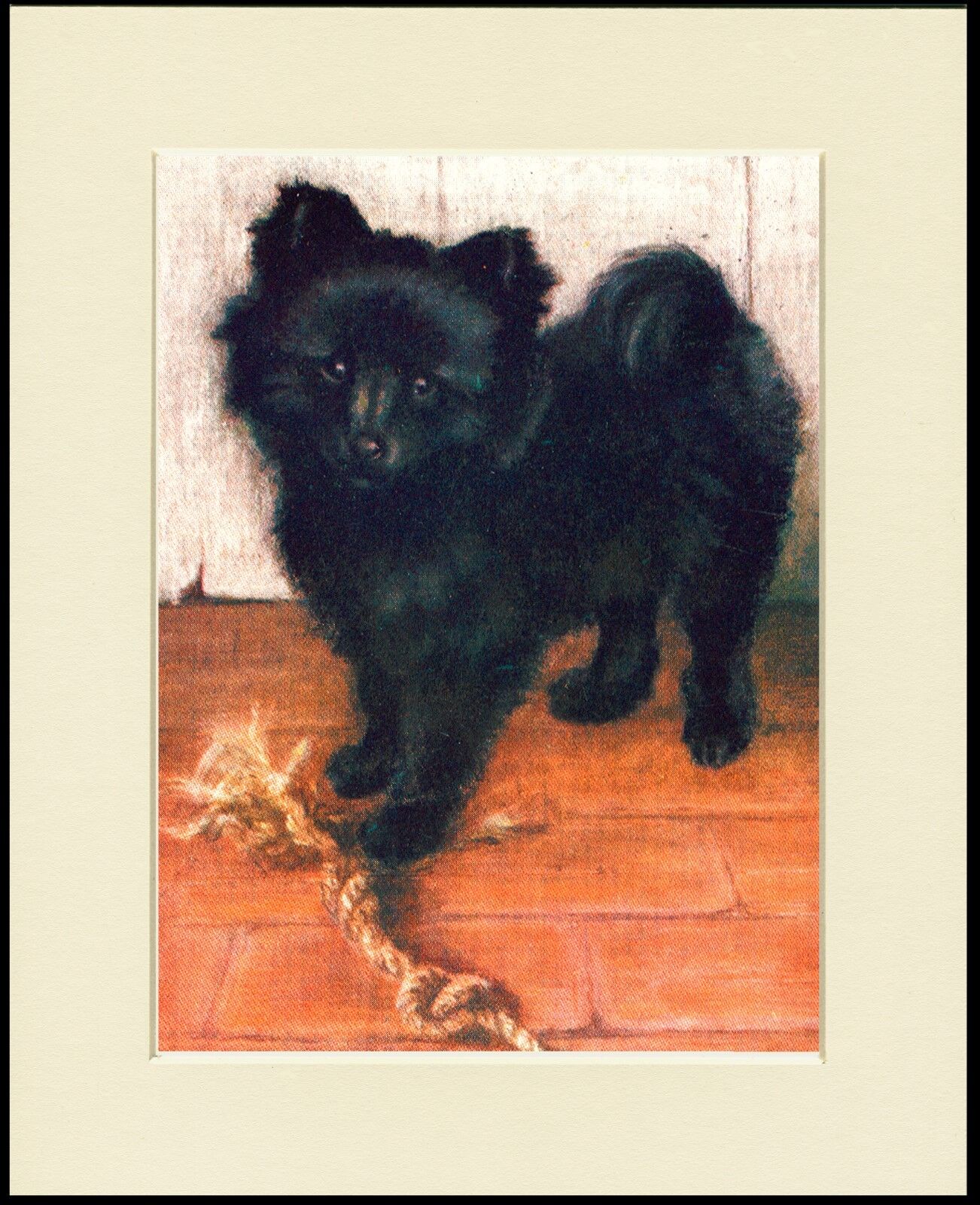 POMERANIAN PUPPY CHARMING LITTLE DOG PRINT MOUNTED READY TO FRAME