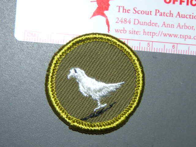Boy Scout Merit Badge Pigeon raising circa \'59-\'69 2982M