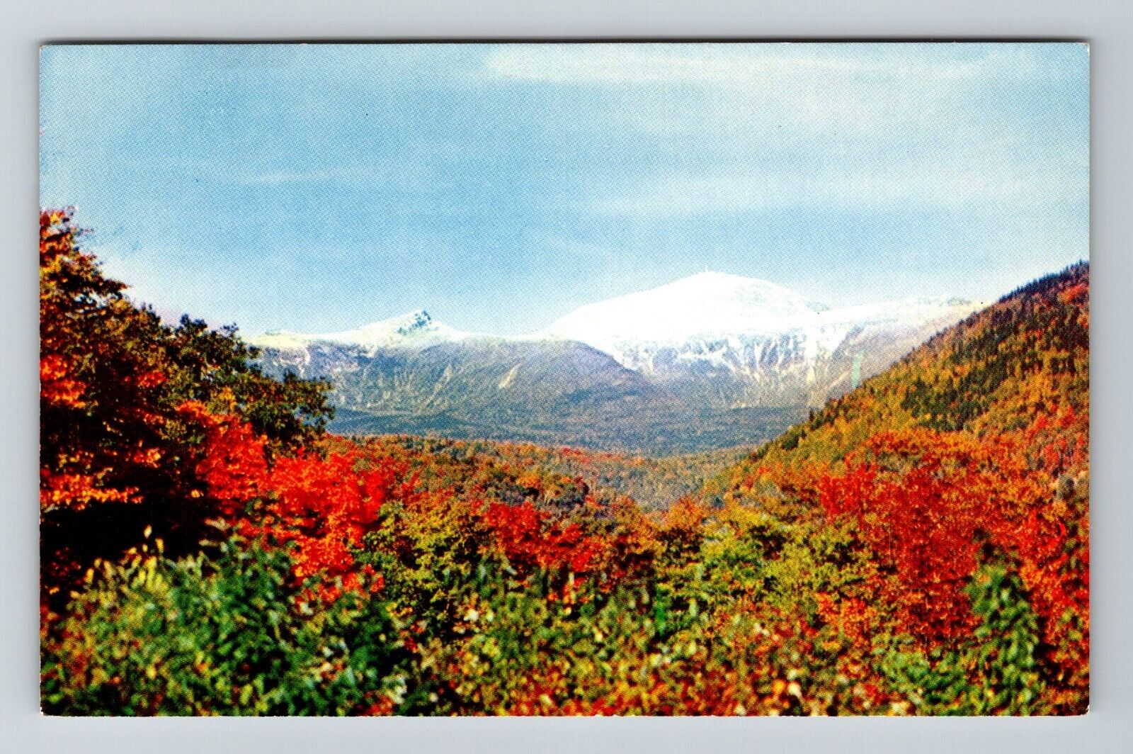 White Mountain NH-New Hampshire, Mt Washington Fall Tree Vintage Postcard
