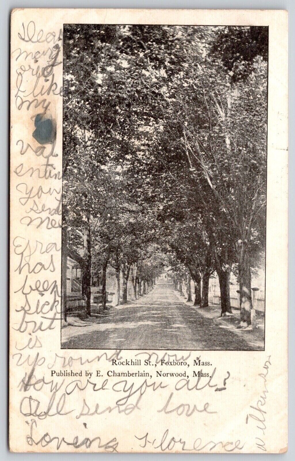 Rockhill St Foxboro Mass Ma Massachusetts Wof Antique Undivided Back Postcard