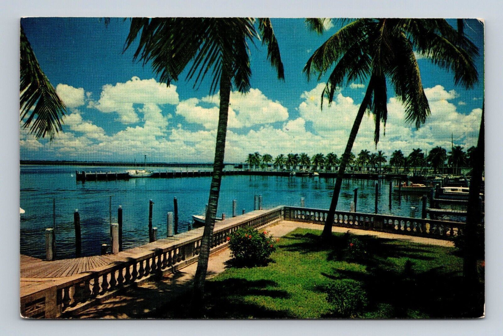 Swaying Palms Beside Beautiful Blue Water In Florida Postcard