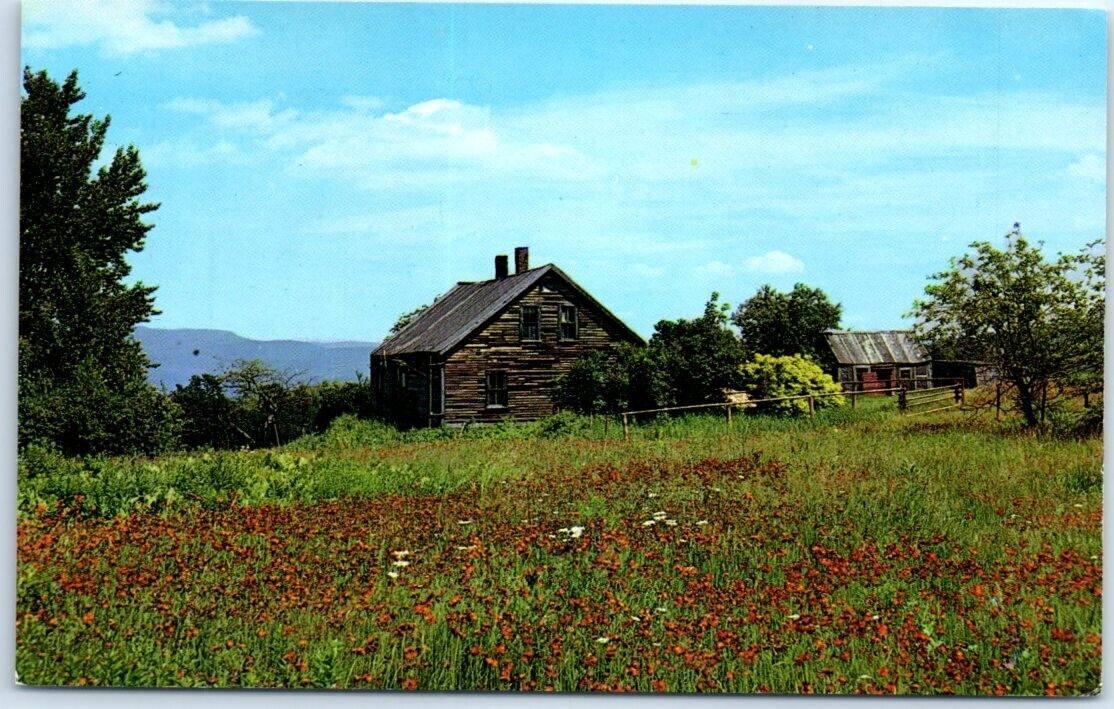 Postcard - Old house