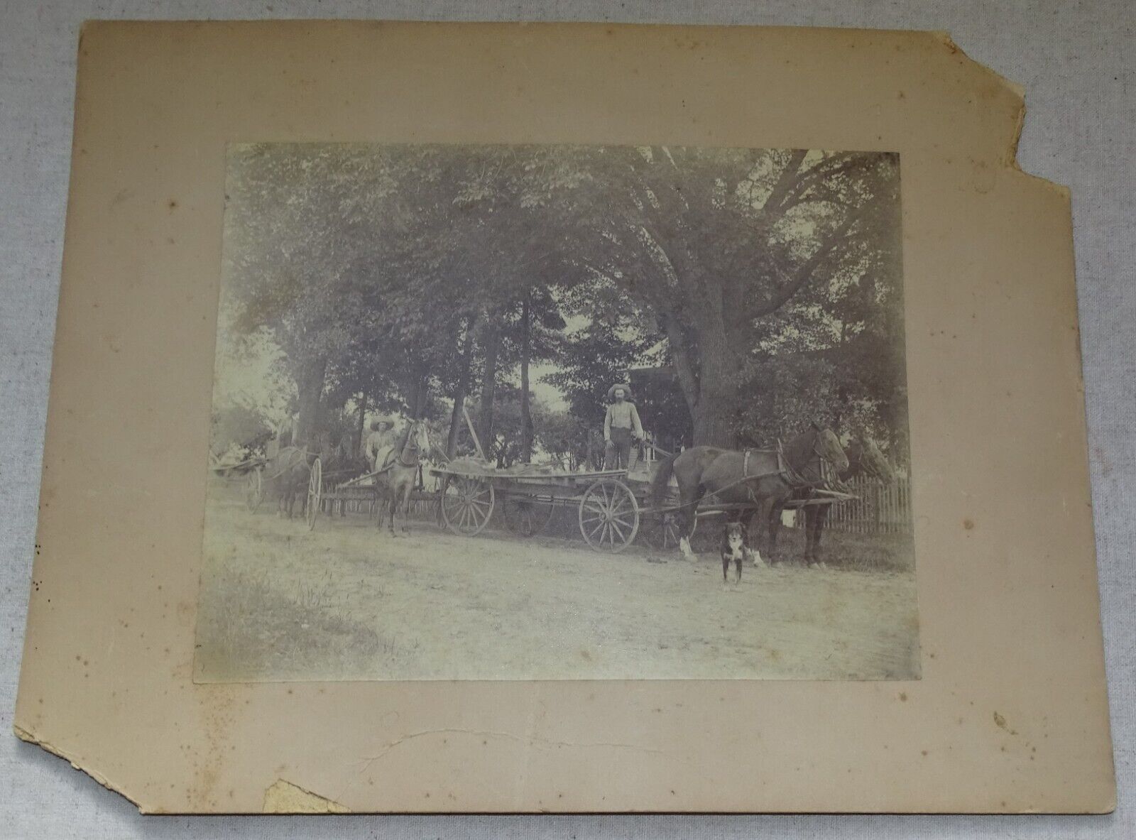 Antique Photograph Joseph L. Weed Farm, East Line Saratoga County N.Y. Haying