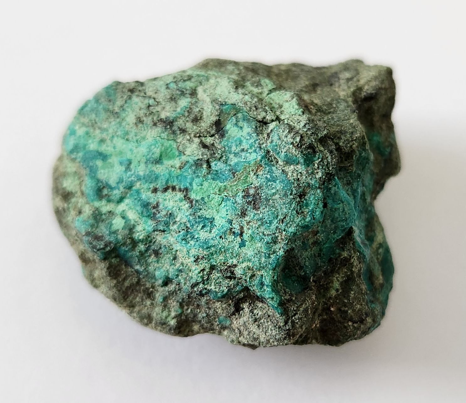 Eilat Stone • Raw Chrysocolla Specimen • King Solomon Mines Timna Valley Israel