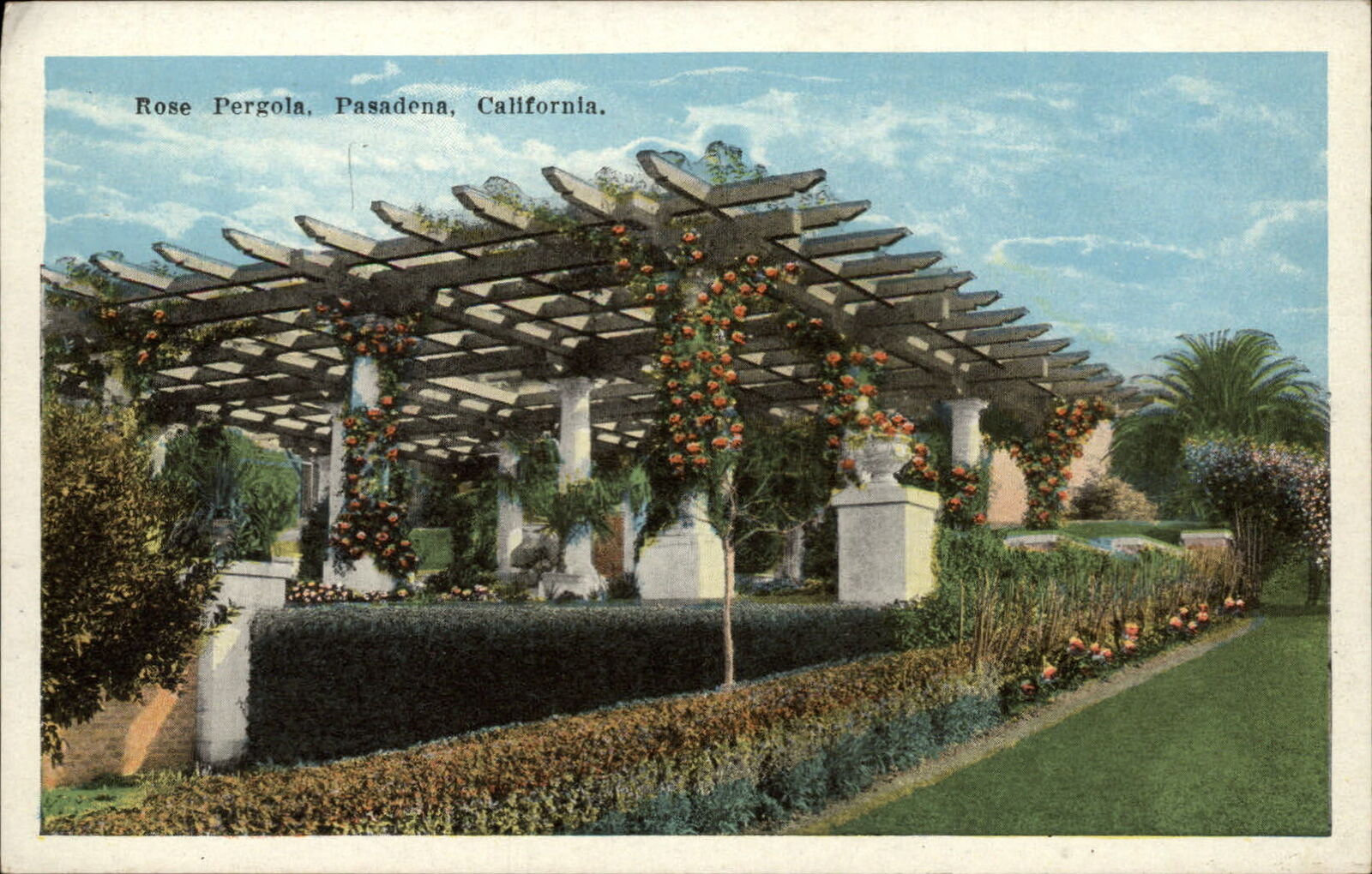 Pasadena California ~ Rose Pergola ~ garden ~ postcard sku745