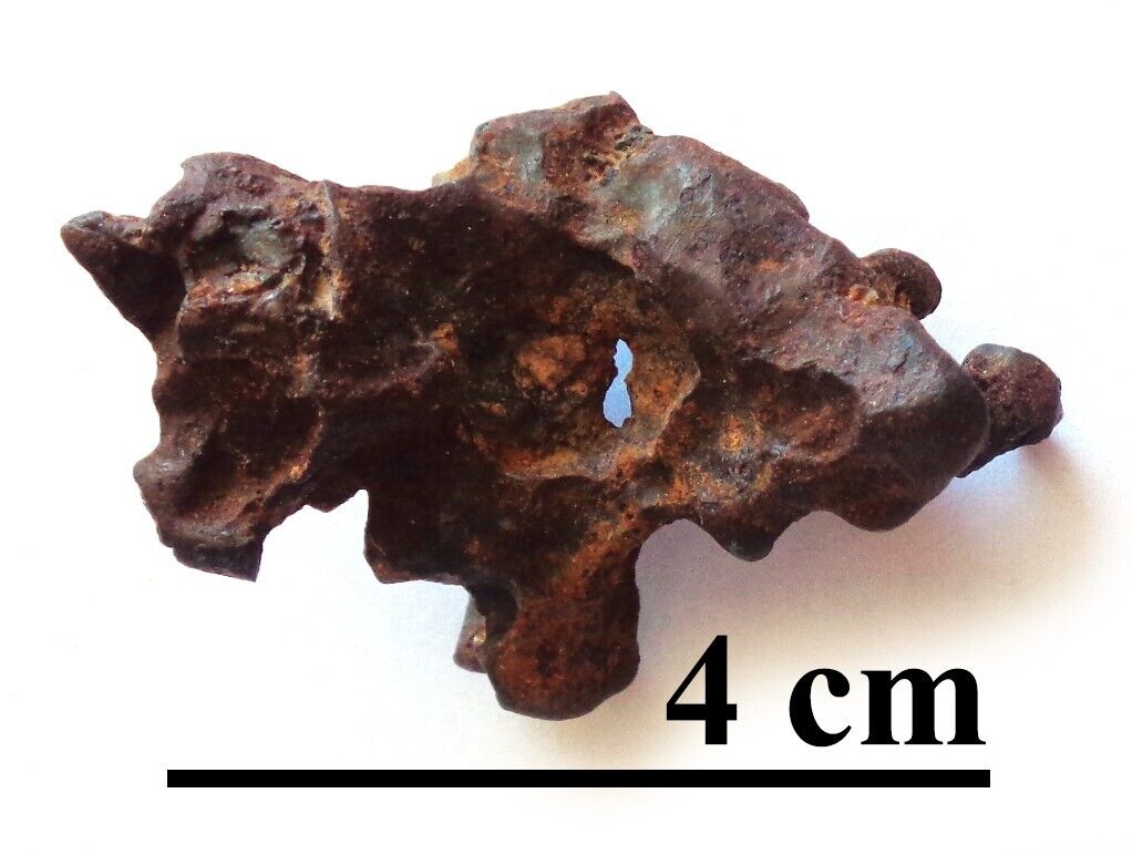 NEW Meteorite IMILAC, Pallasite, complete individual piece. 23.6 grams.