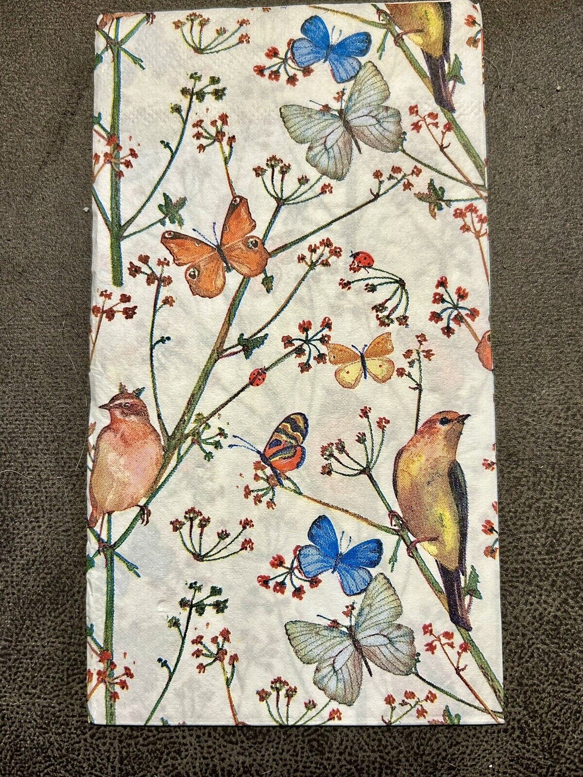 2 Paper Napkins With Vibrant Birds And Butterflies