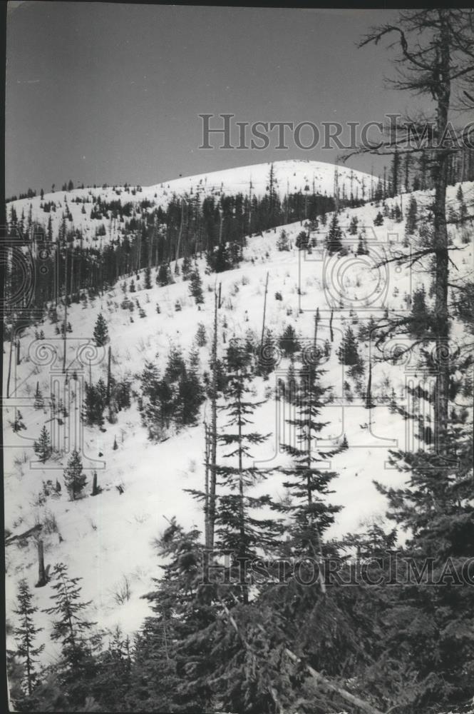 1937 Press Photo Snowy Mt. Spokane - spa91611