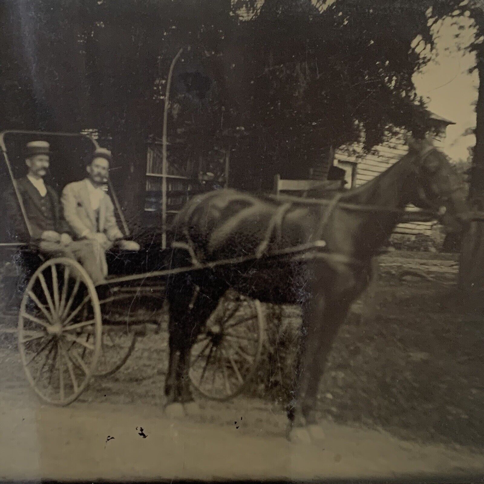 Antique Tintype Photograph Handsome Man Men Horse Buggy Carriage