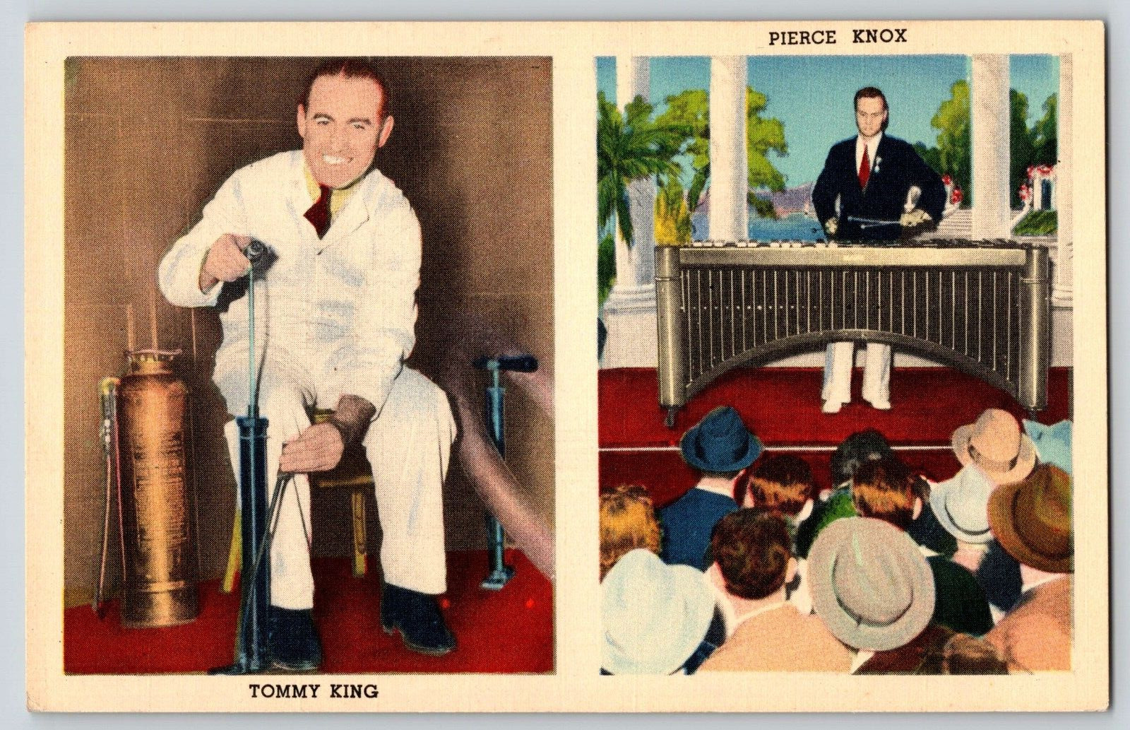 Vintage Linen Postcard Ripleys Believe it or Not New York Worlds Fair Tommy King