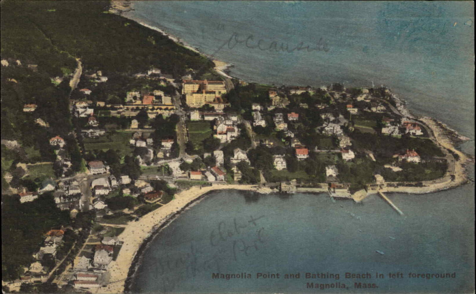 Magnolia Massachusetts MA Magnolia Point Air View Albertype Vintage Postcard
