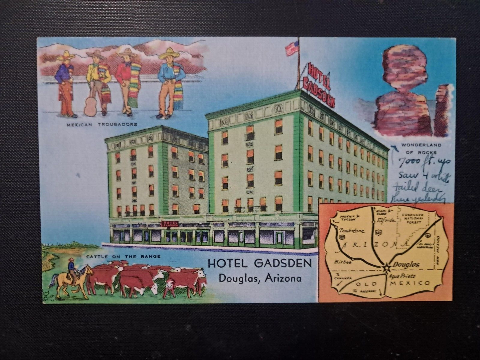 HOTEL GADSDEN DOUGLAS, ARIZONA Postcard