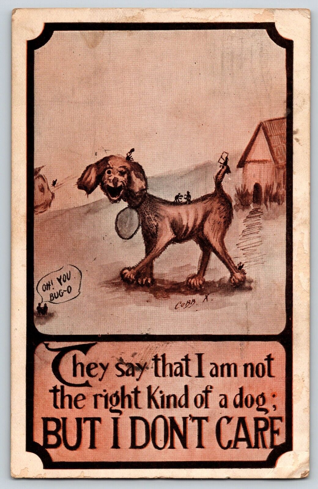 Postcard Dog Comic Humor - Galveston Texas 1911 Cancel