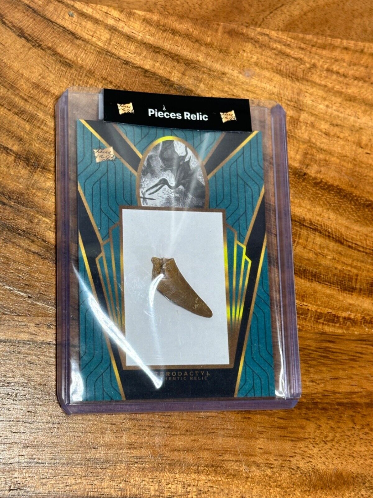 GENUINE DINOSAUR TOOTH - PTERODACTYL RELIC - PIECES OF THE PAST #OTSO-14