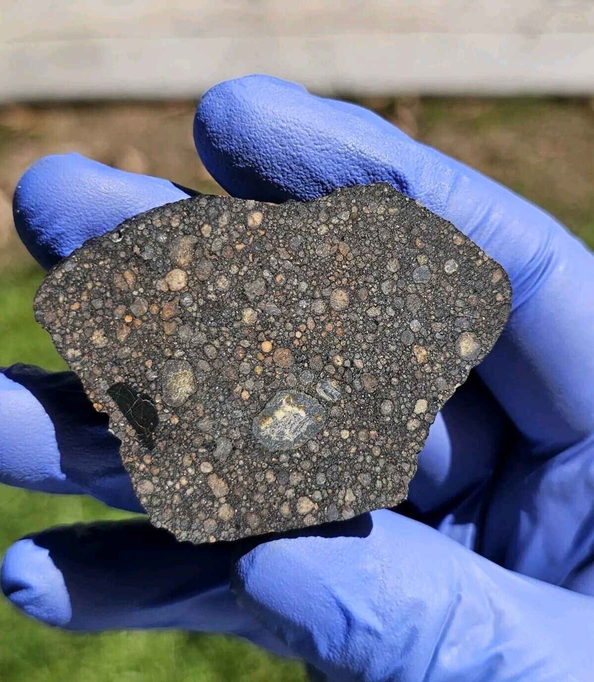 Meteorite**NWA 14916, LL3**14.944 grams, W/Gorgeous Colored Chondrules Type 3