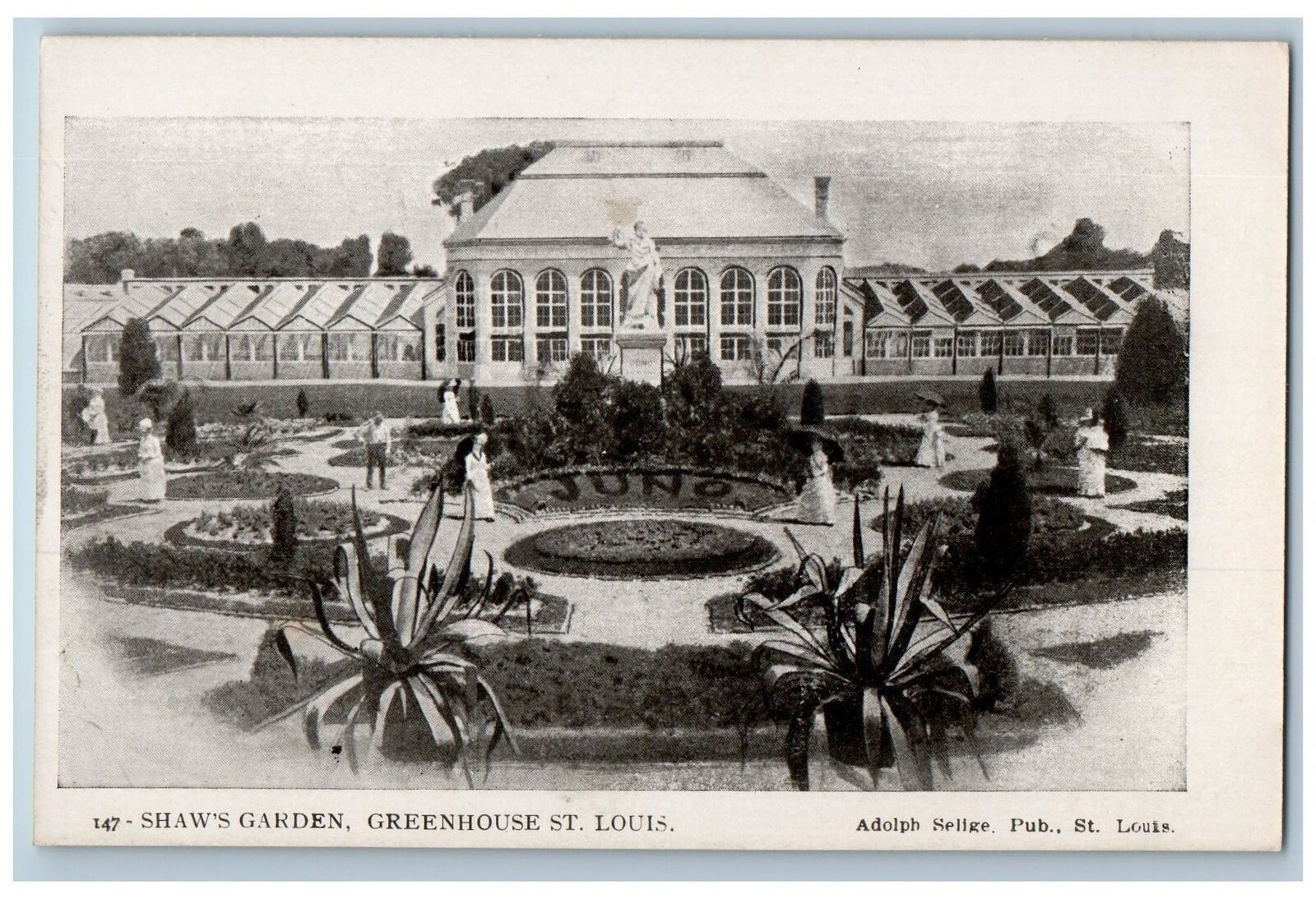 c1905s Shaw's Garden Greenhouse Exterior St. Louis Missouri MO Unposted Postcard