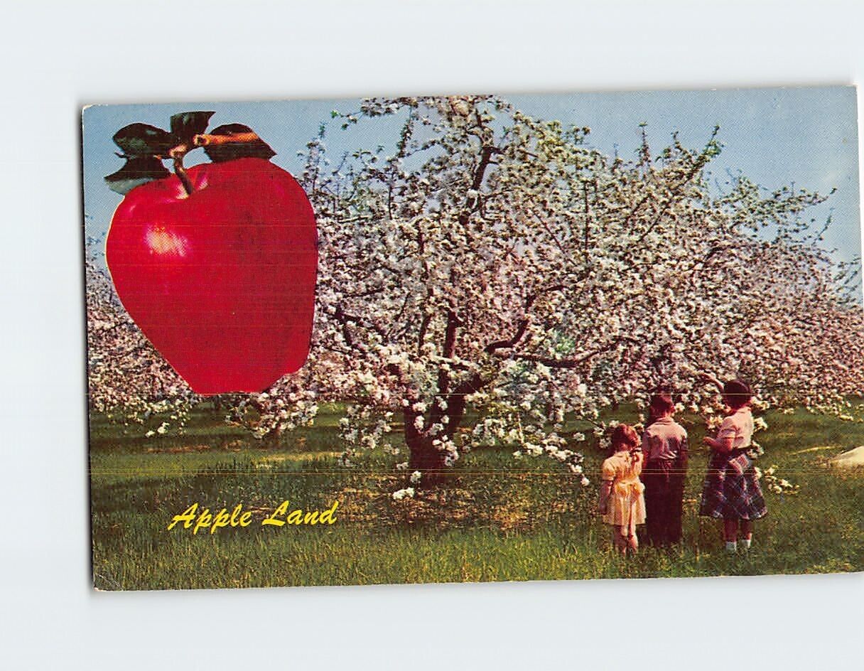 Postcard Apple Land