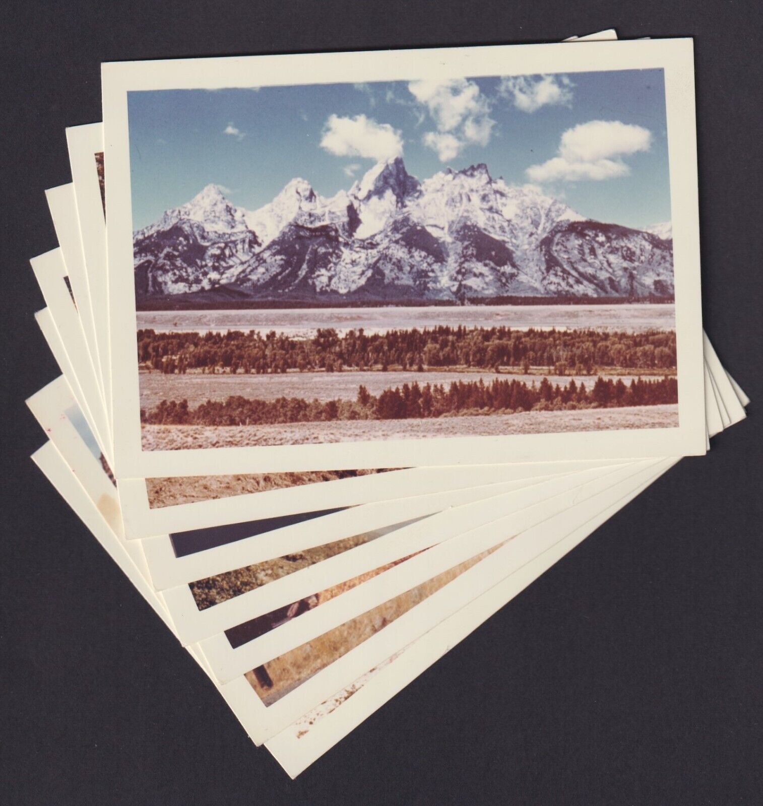 7 Vintage Color Snapshot Photos YELLOWSTONE PARK Wyoming c 1961-1972