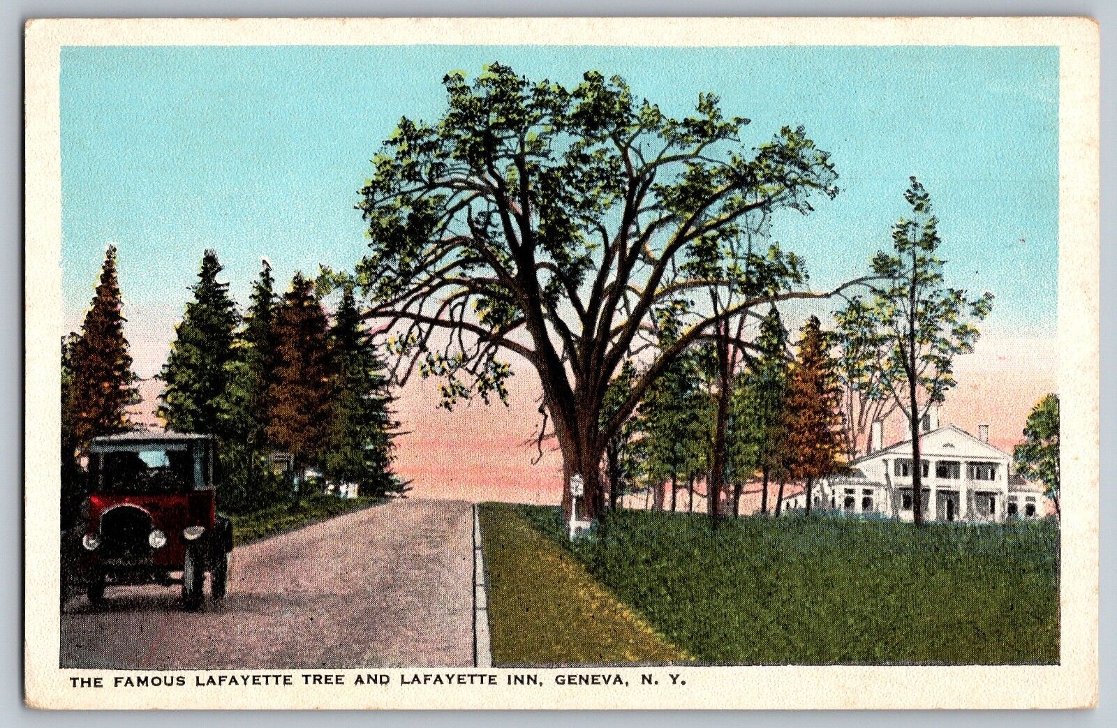Geneva, New York - Famous Lafayette Tree and Inn - Vintage Postcard - Unposted