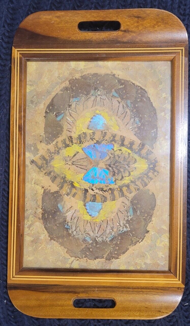 Vintage 1970s Brazilian Butterfly Wing Wood Inlay Serving Tray 13.5”- Beautiful