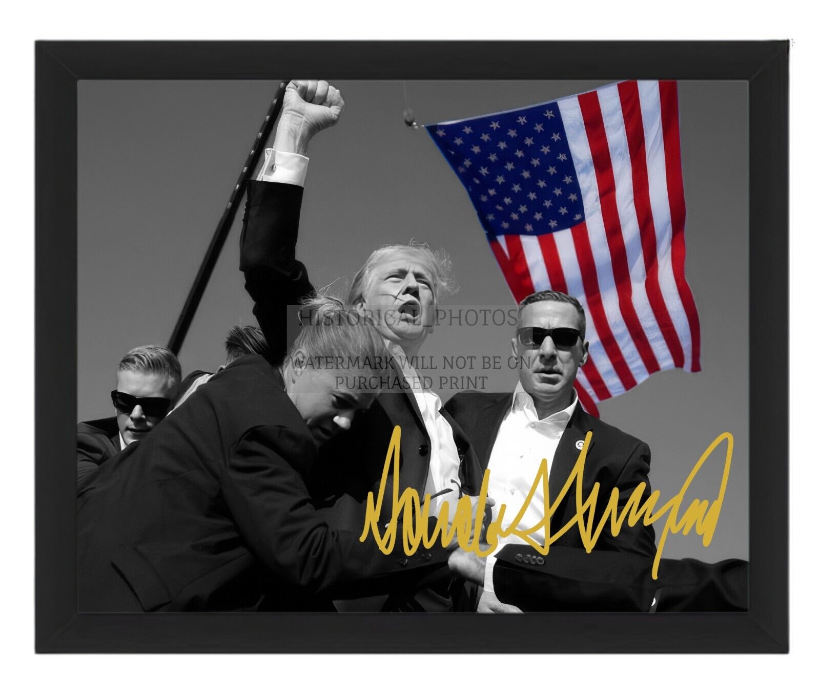PRESIDENT DONALD TRUMP ASSASINATION AMERICAN FLAG AUTOGRAPHED 8X10 FRAMED PHOTO