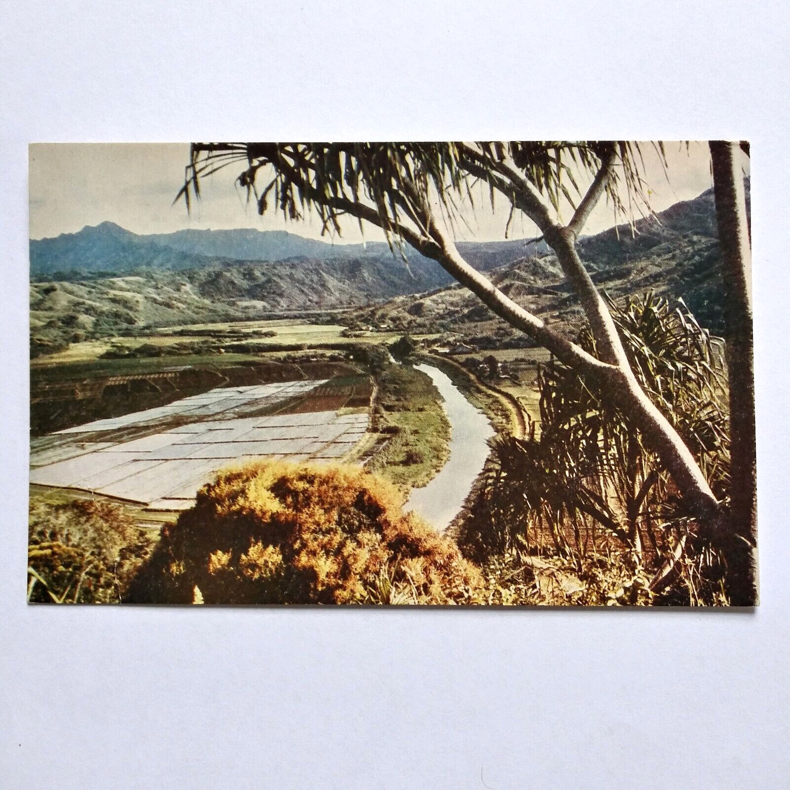 Honalei Valley Island of Kauai Hawaii Postcard Tropical Islands