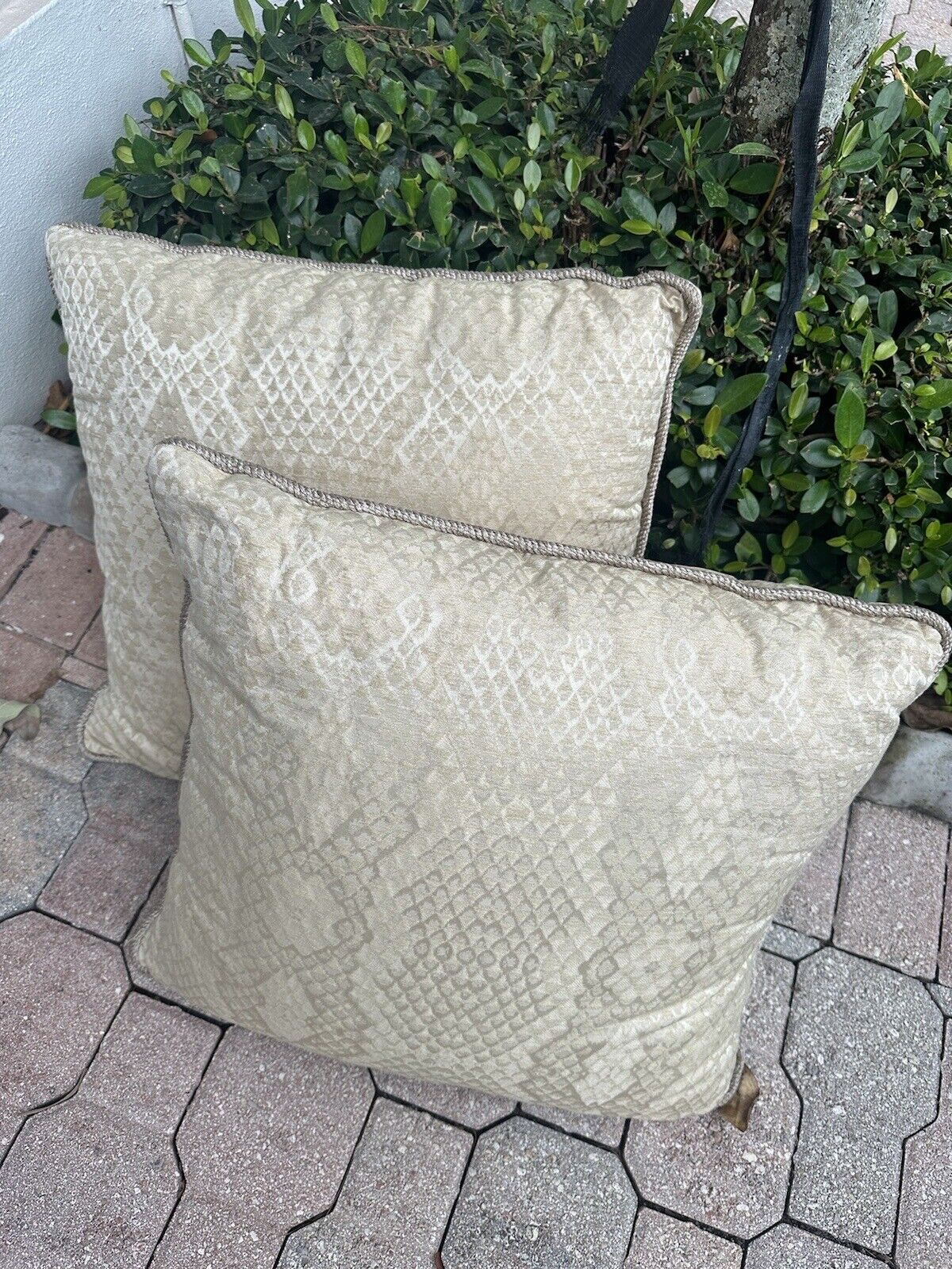 Stunning Large Decorative Beige (2 ) - Pillow Set