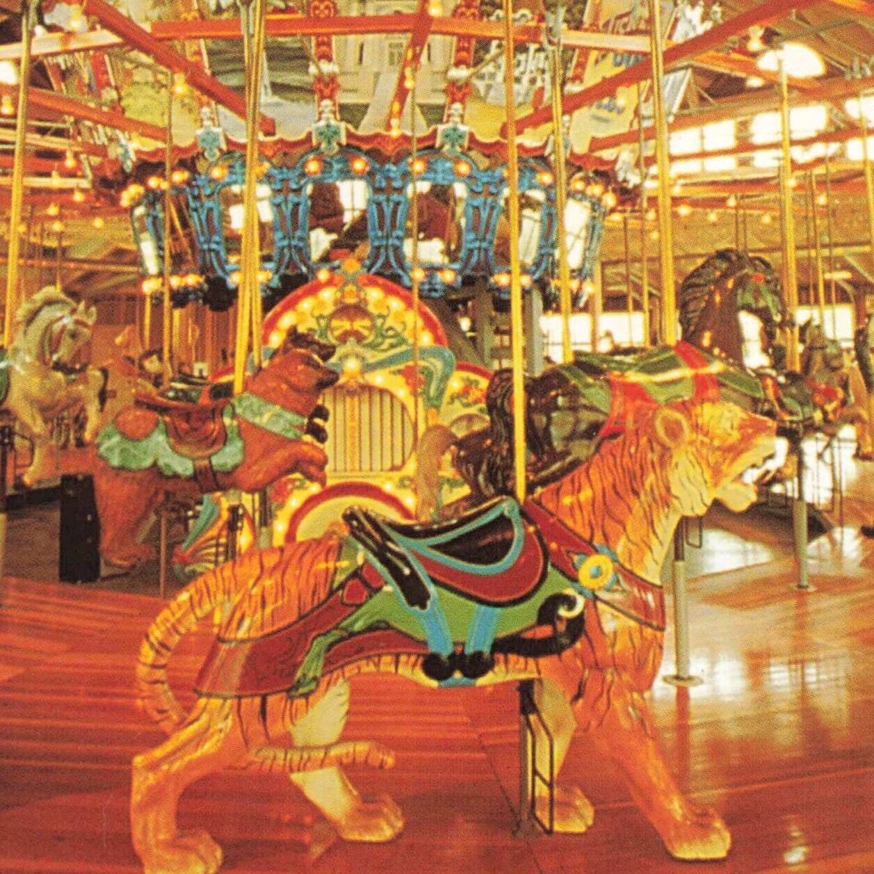Postcard OH Mansfield Richland Carousal Park Horses Carved Figurines Chariots