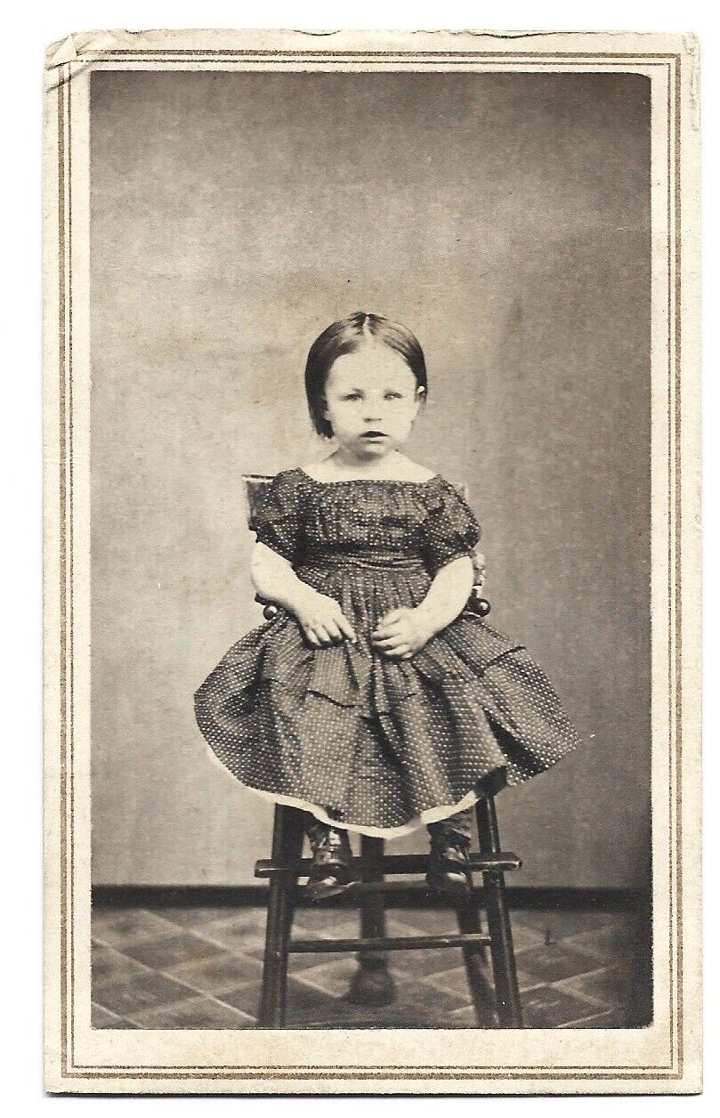 Vintage CDV Photo of a Cute Little Girl Wearing a Tiny Victorian Era Dress 🩷