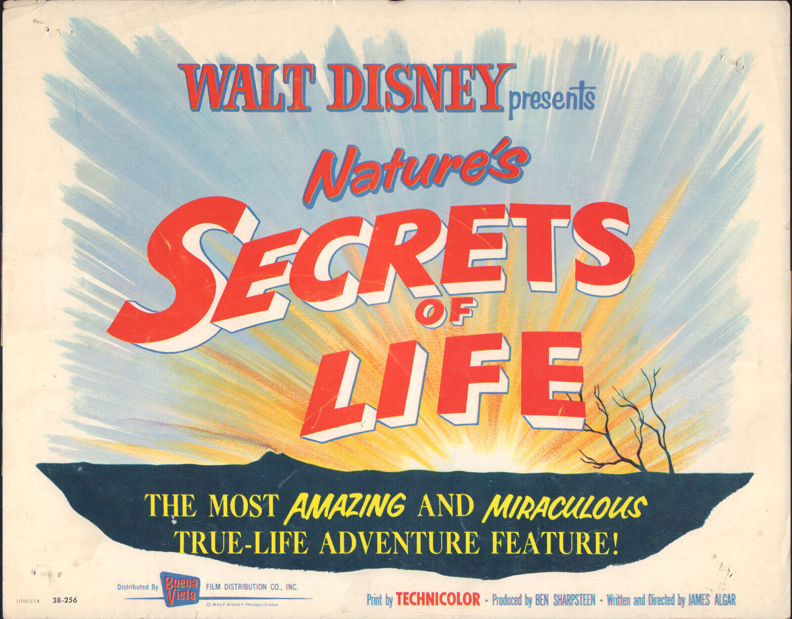 WALT DISNEY presents NATURE\'S SECRETS OF LIFE original 1956 movie poster