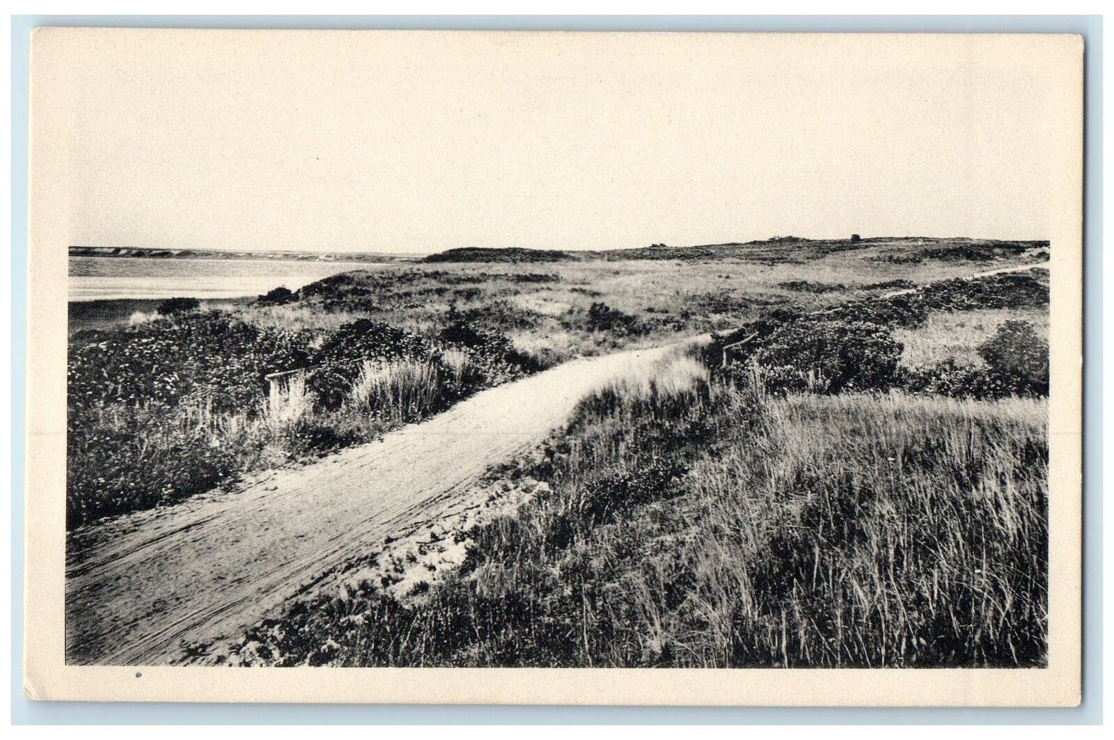 c1920s The Polpis Road Scene Nantucket Island Massachusetts MA Unposted Postcard