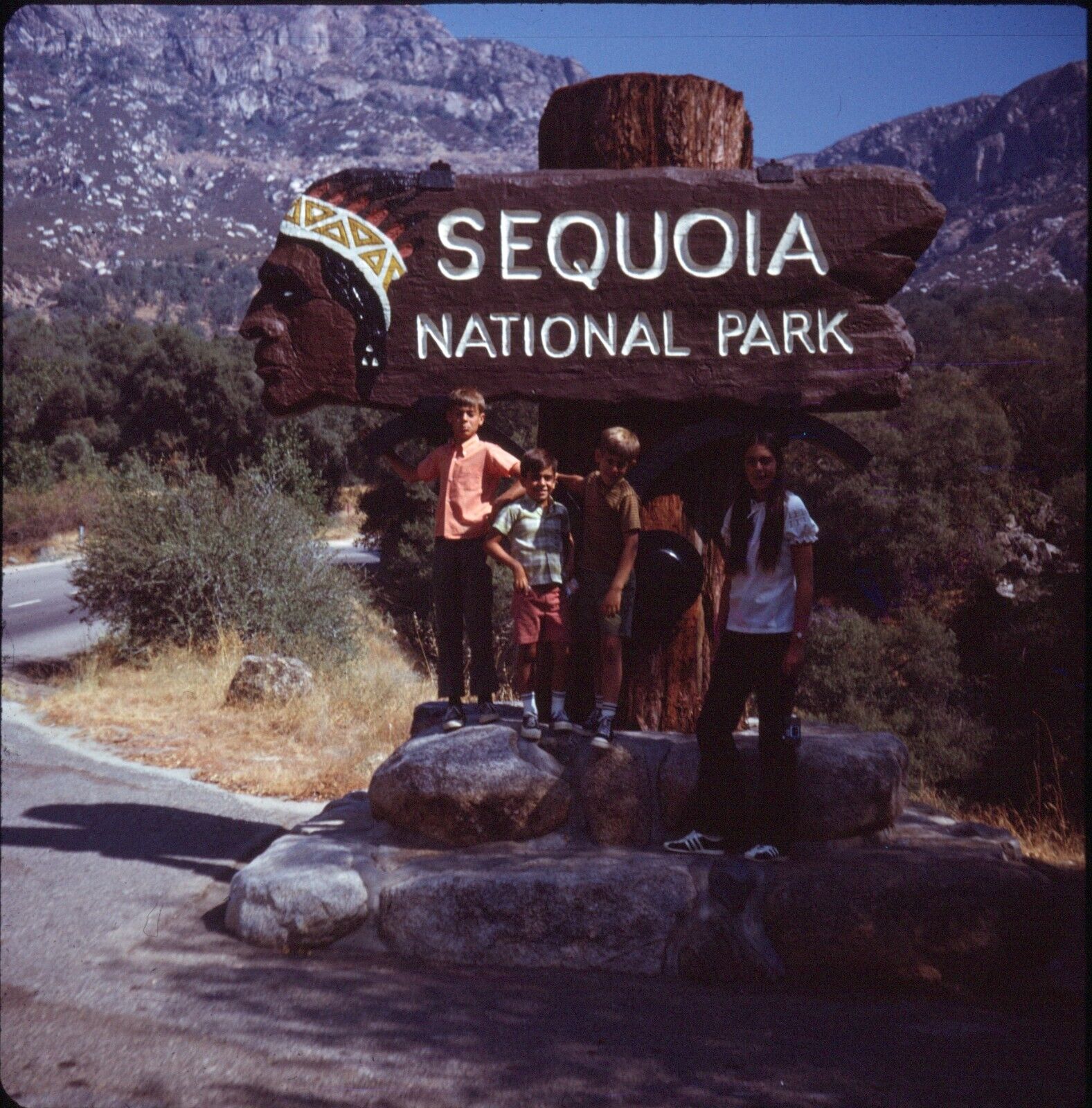 1971 Sequoia National Park California Wooden Sign Kids Vintage 126 Slide