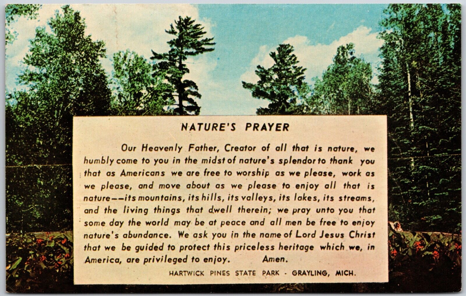 Nature\'s Prayer Hartwick Pines State Grayling Michigan Vintage Postcard