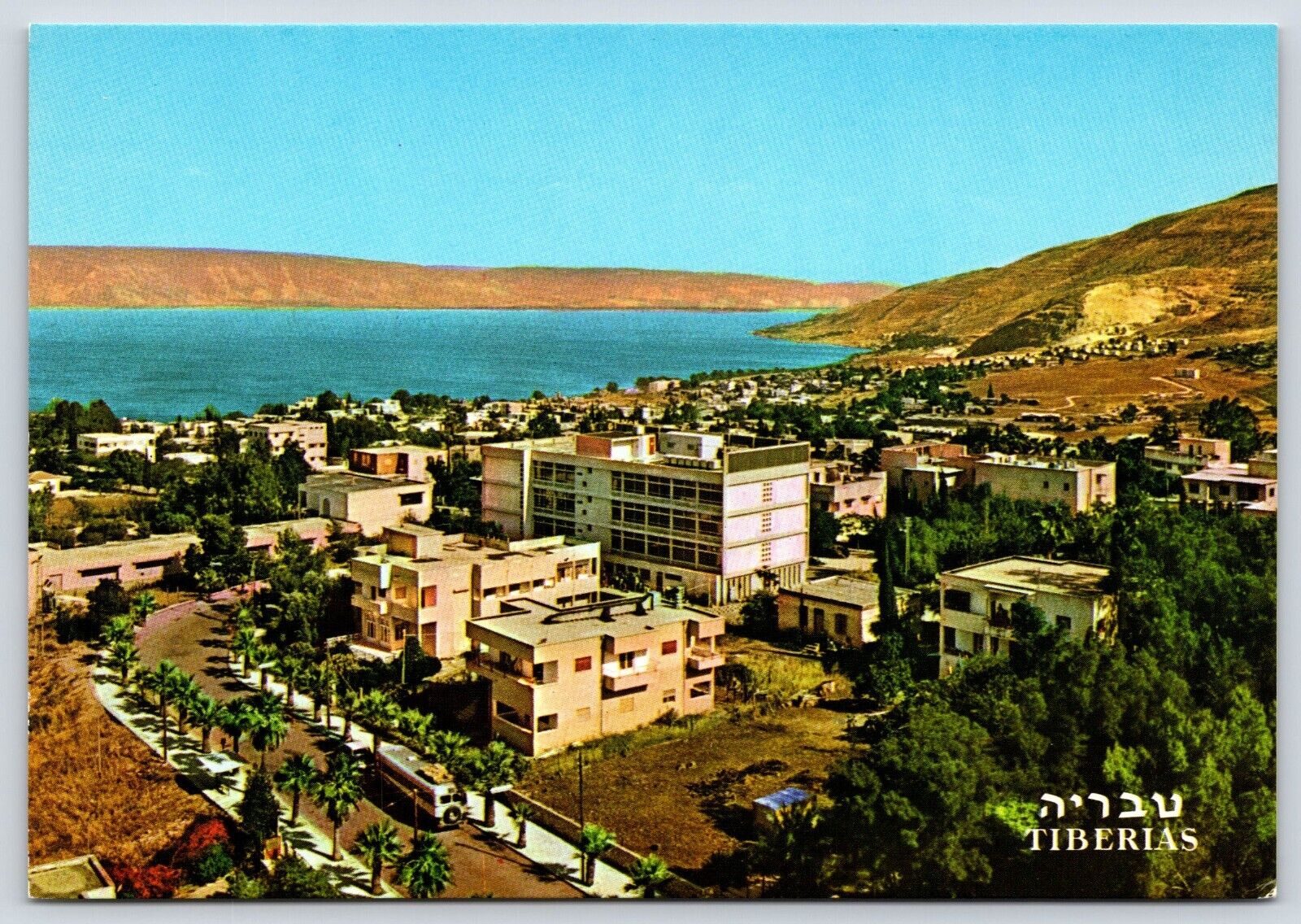 Israel Tiberias General View From Kiryat Shmuel Vintage Postcard Continental