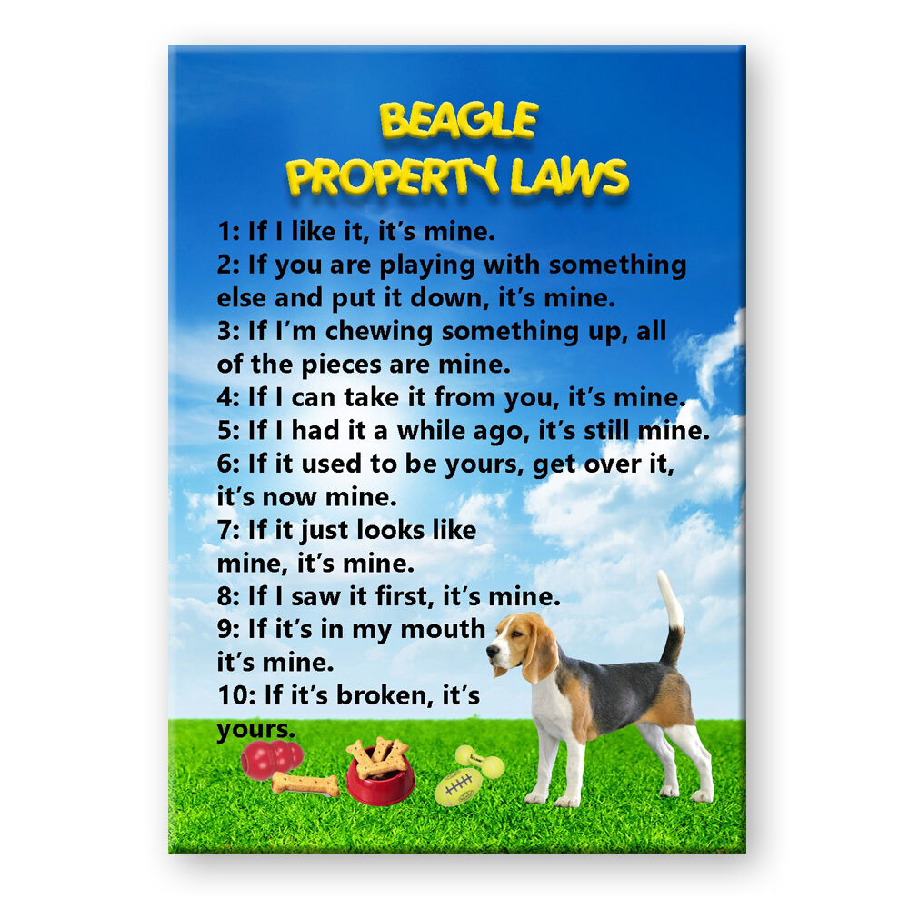 Beagle Property Laws Steel Cased Fridge Magnet Funny