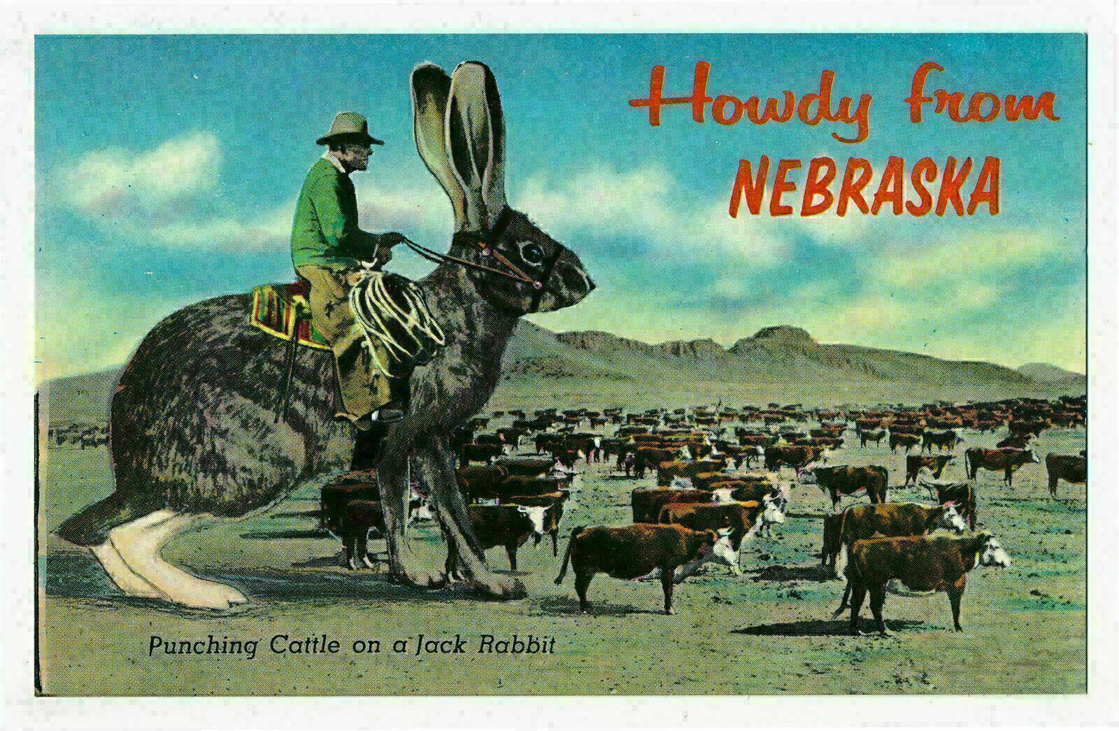 Punching Cattle on a Jack Rabbit Howdy from Nebraska - Exaggeration Postcard