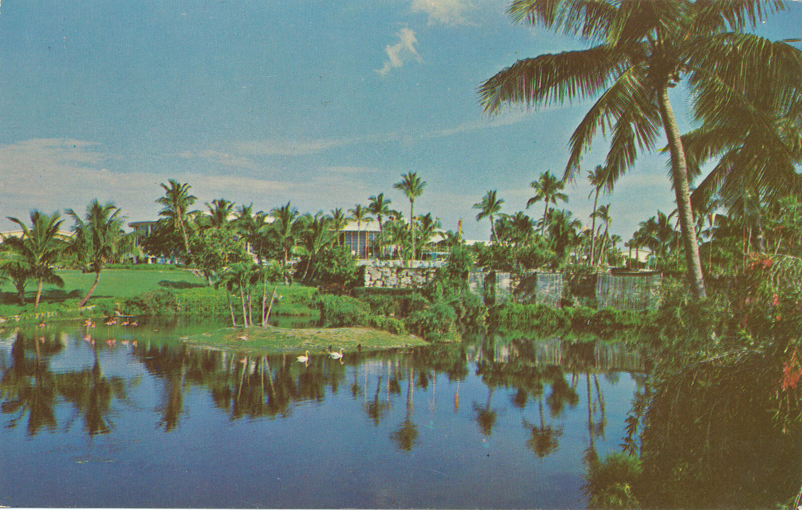 DORAL COUNTRY CLUB - FLAMINGO LAKE - unused chrome postcard