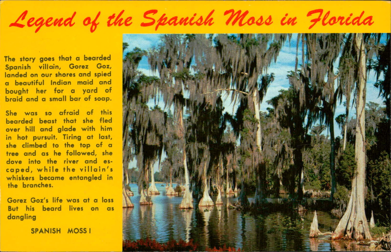 Postcard: Legend of the Spanish Moss in Florida