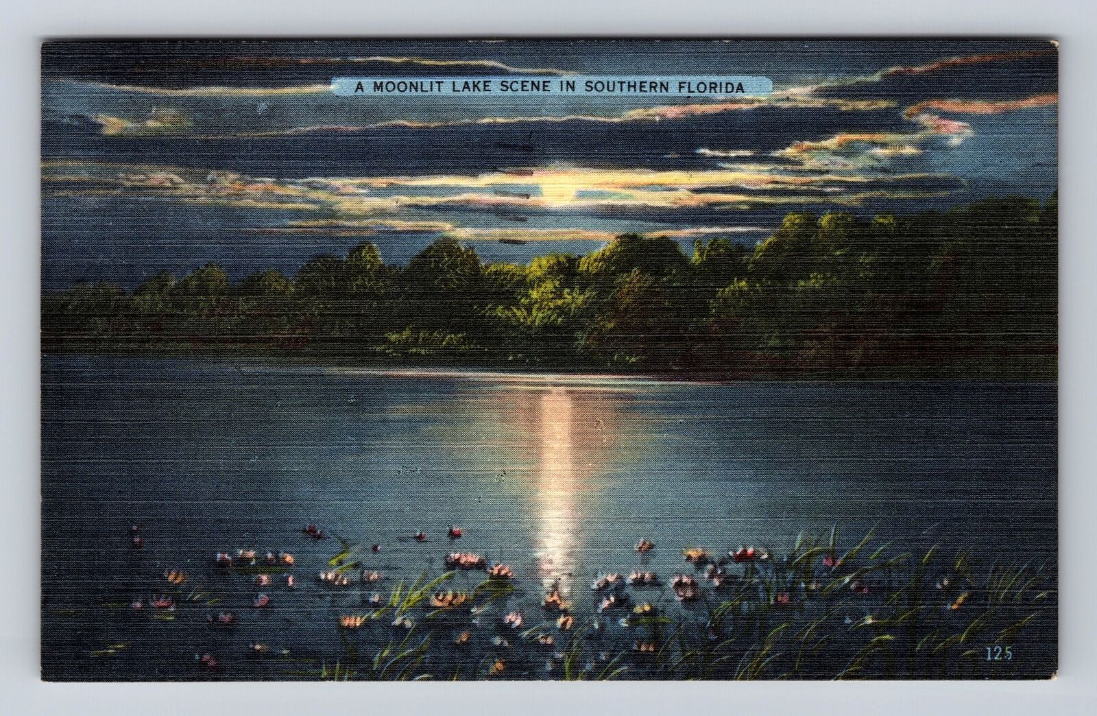 FL-Florida, Moonlit Lake Scene, Antique, Vintage c1955 Souvenir Postcard