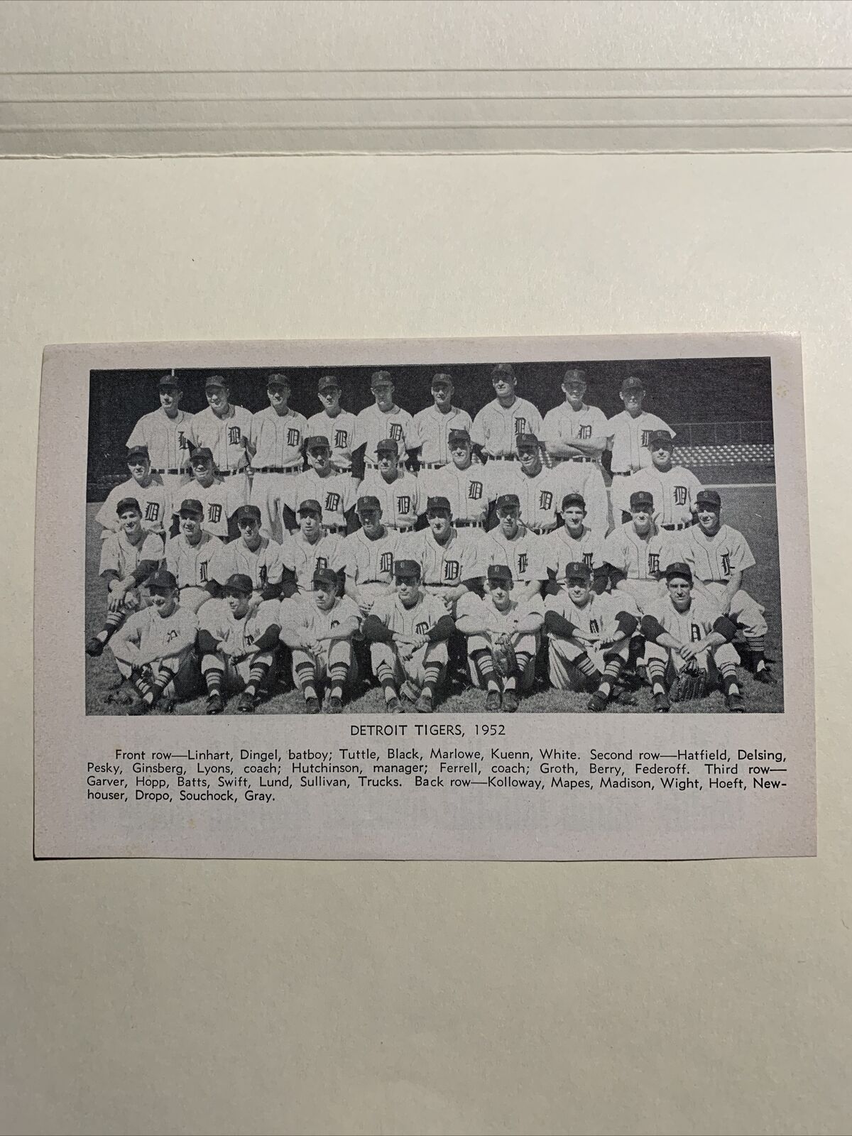 Detroit Tigers Hal Newhouser V. Wertz 1952 Baseball Publication Team 5X7 Picture