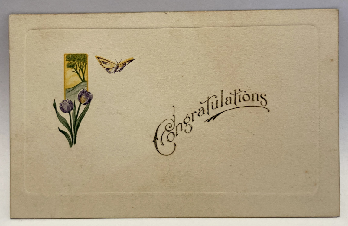 Congratulations, Butterfly, Tulips, Vintage Greeting Postcard