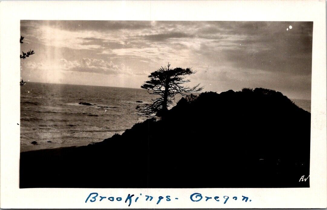 RPPC Brookings OR Tree On Cliff Sunset A/S AV AZO 1924-1949 photo postcard NP2