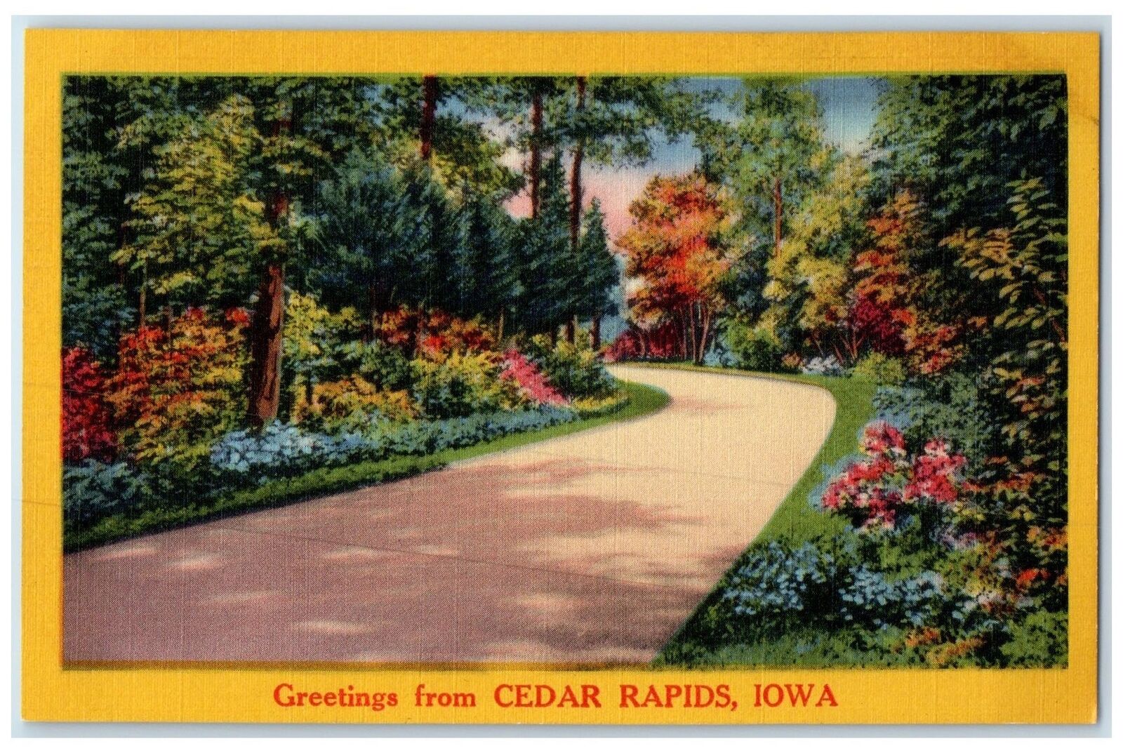 c1940s Greetings From Cedar Rapids Iowa IA Unposted Country Road Trees Postcard