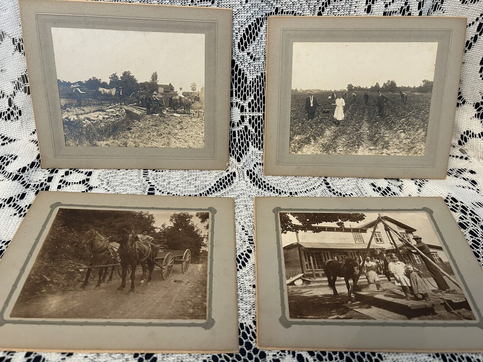 4 OLD ANTIQUE 1900'S FARMING PICTURES 2)MARKED FELIX W. MIKOLAJCRAK NANTICOKE PA