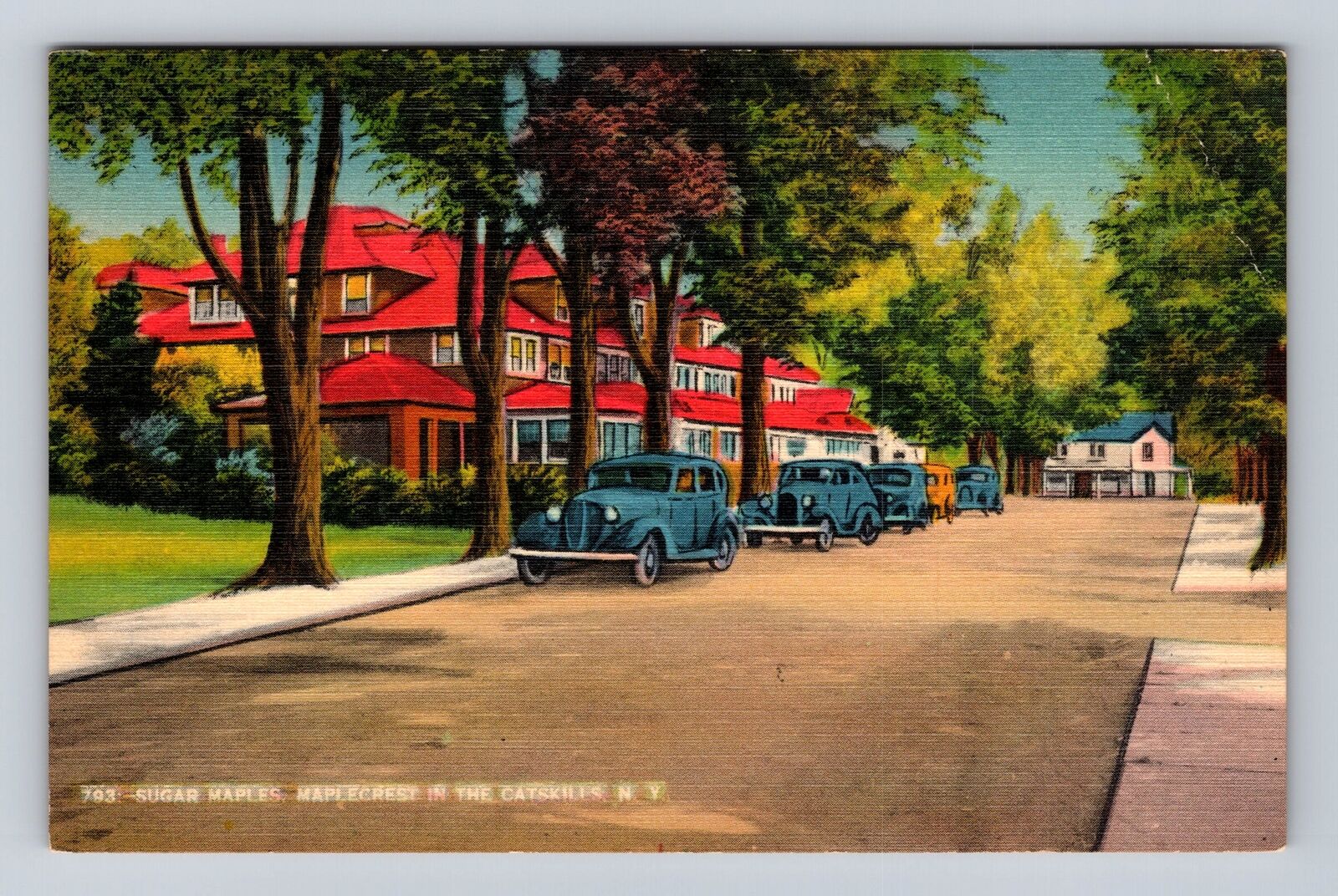 Maplecrest NY-New York, Catskill Mts, Street Lined Sugar Maples Vintage Postcard