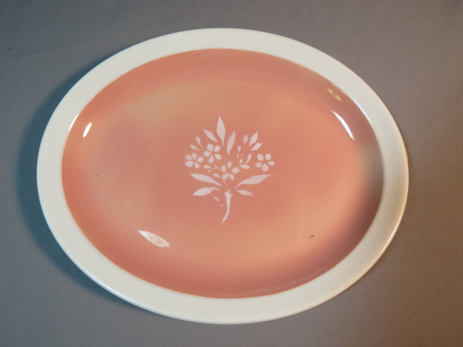 Vintage Illinois Central Railroad China Oval Platter Coral Plate Syracuse