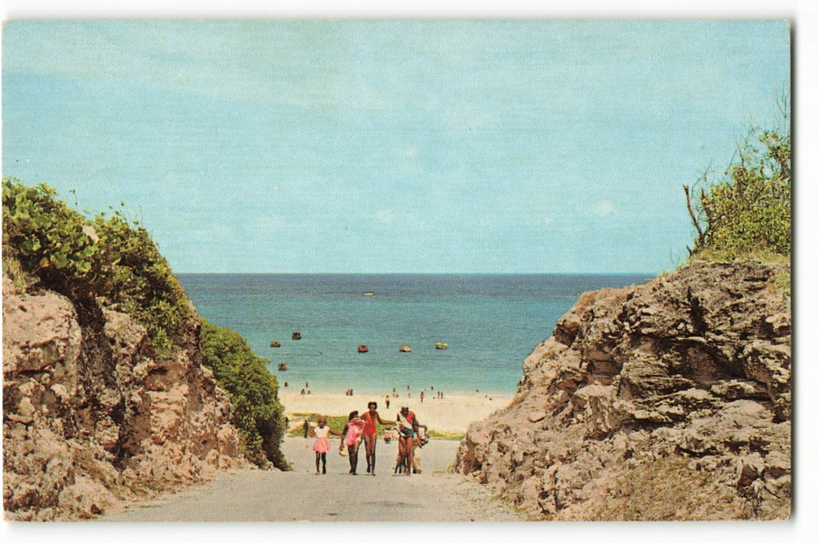 Postcard Roadway to Crane Beach, St. Philip, Barbados, W.I., VTG ME3.