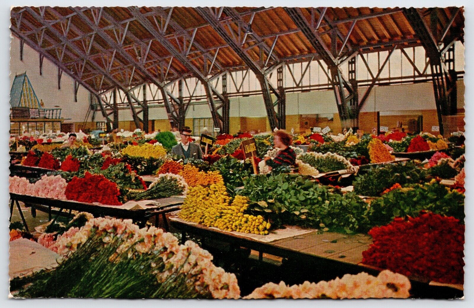 Postcard Aalsmeer - Interior Flower Auction People Netherlands Unposted